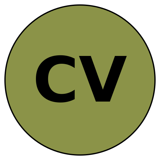 CareerVision
